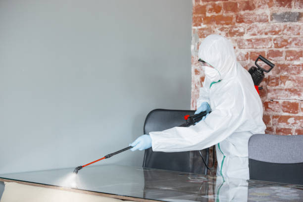 Best HVAC Mold Inspection and Cleaning in Whitmire, SC